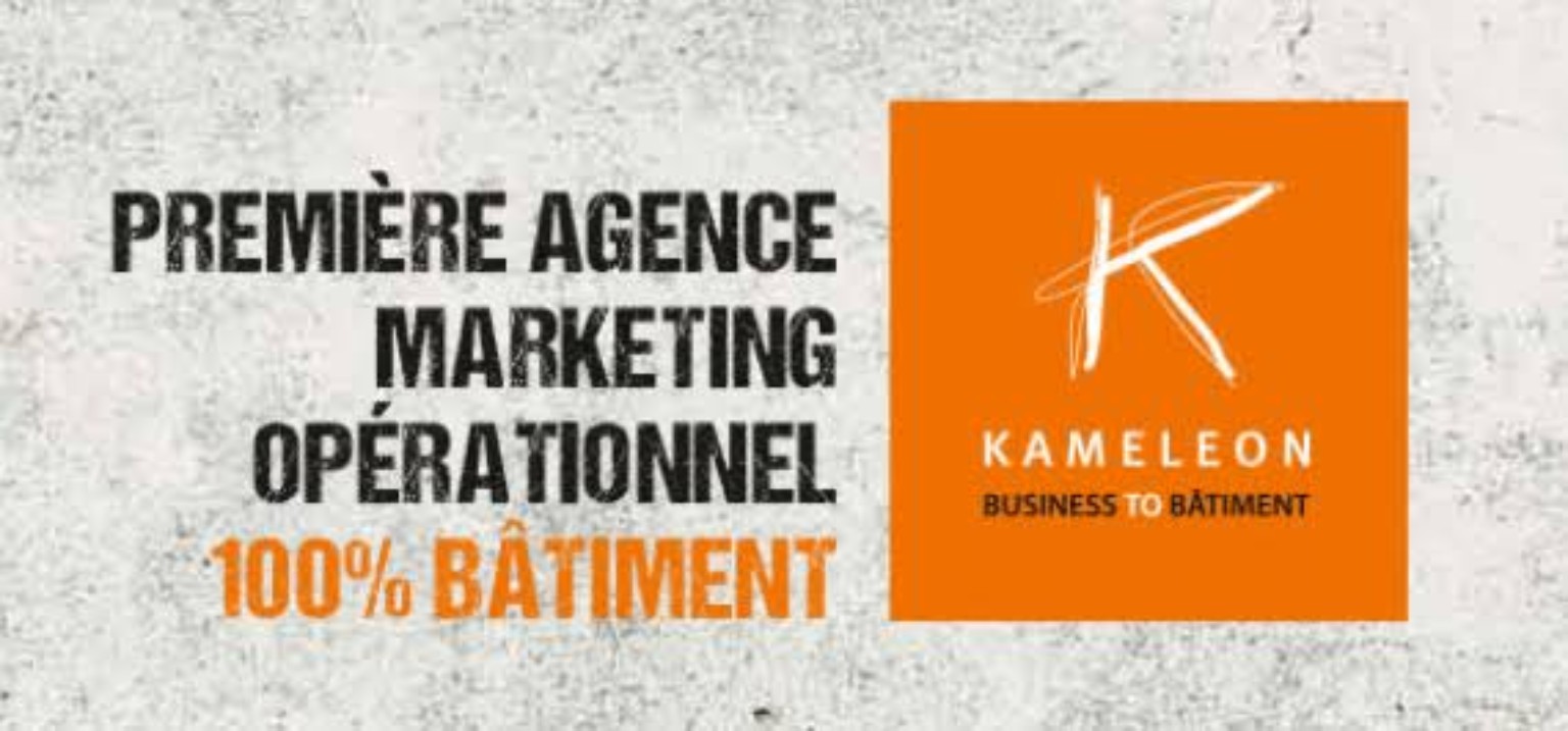 Logo Kameleon