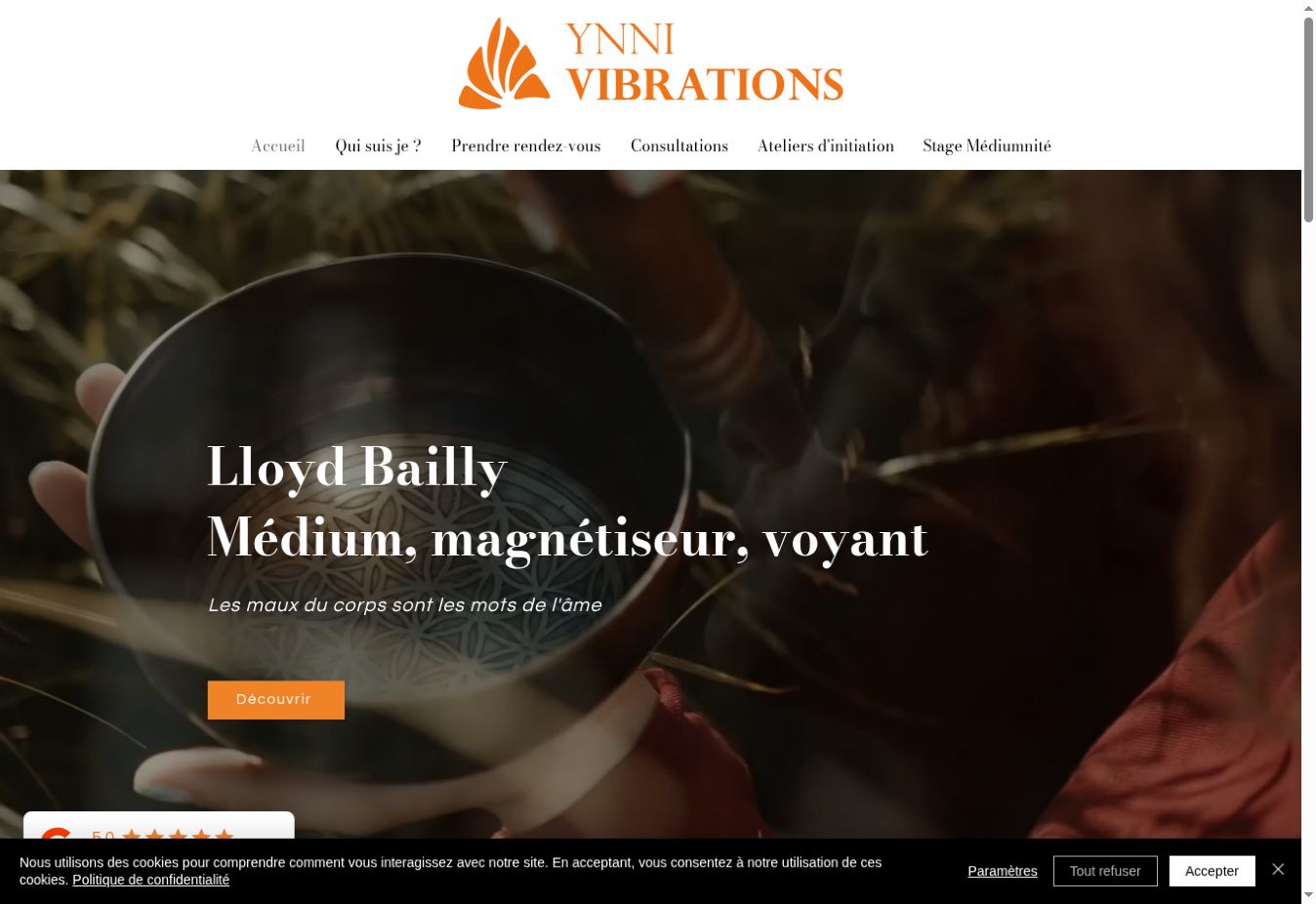 Aperçu du site internet Ynni Vibrations